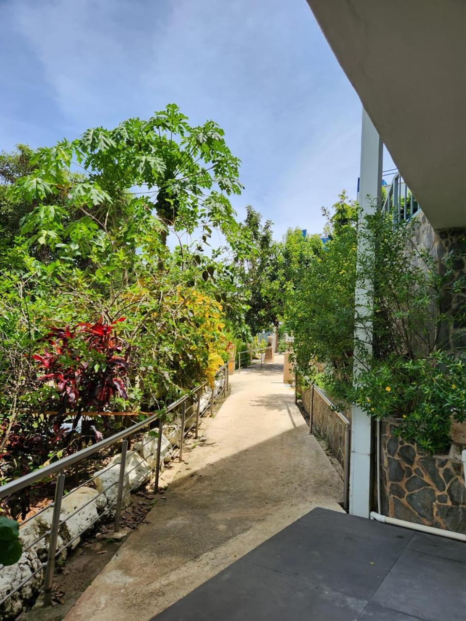Hotel Ticozuma Montezuma Ngoại thất bức ảnh